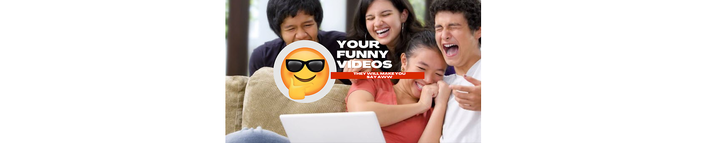 funny videos