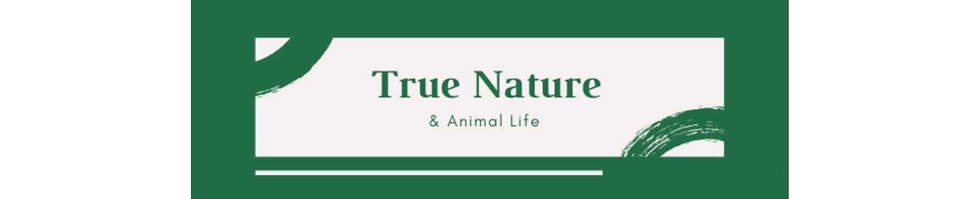 True Nature World and Animal Life