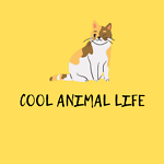 Cool Animal Life