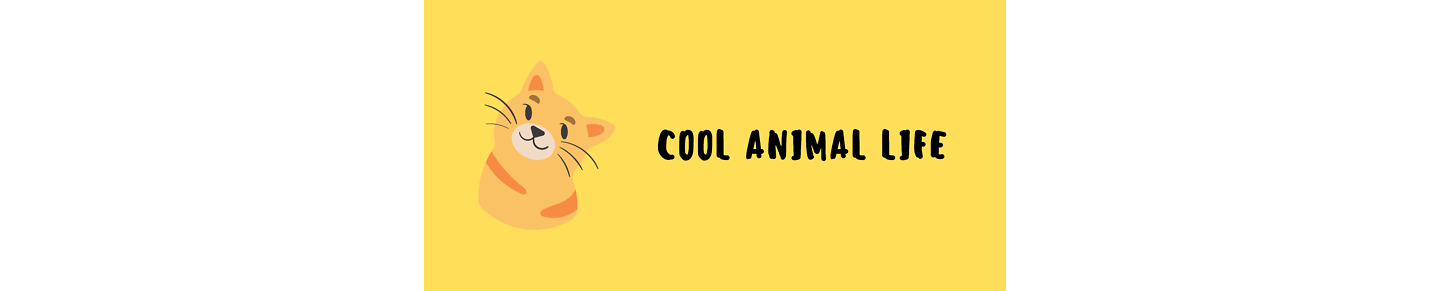 Cool Animal Life