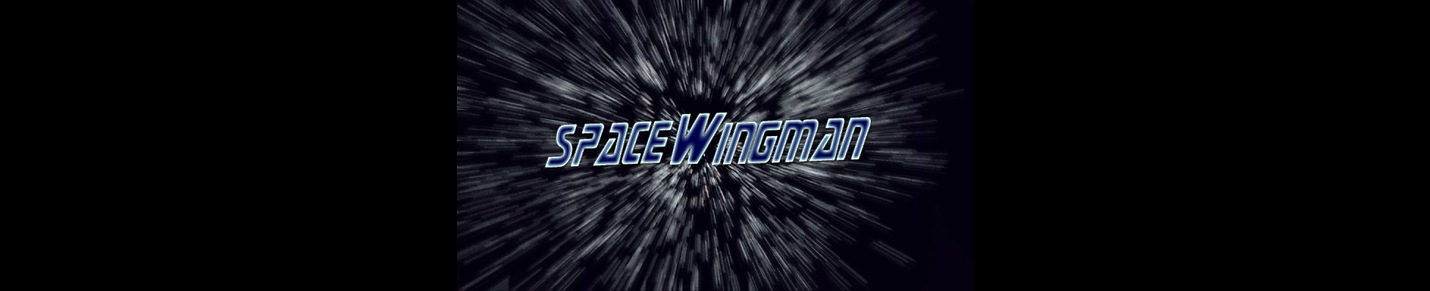 SpaceWingman