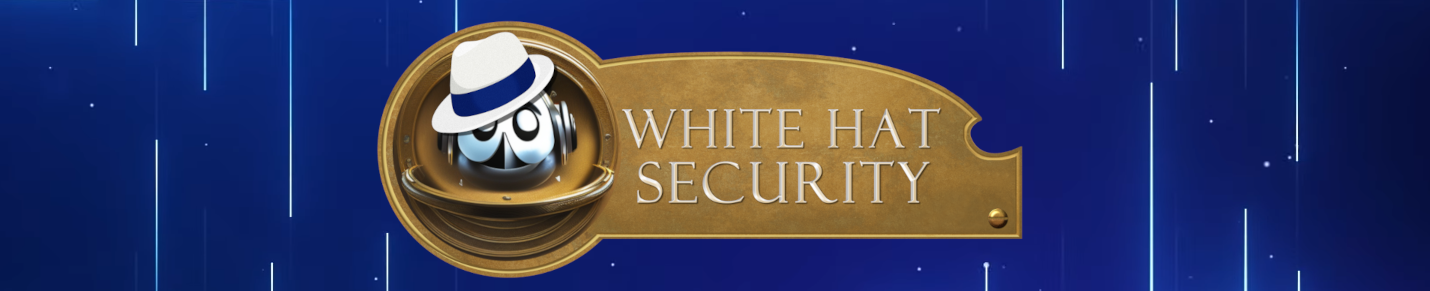 👨‍💻 White Hat Security