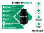 How To Increase Testosterone