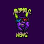 Animals News