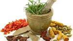 The golden herb is a channel that is interested in the science of the benefits of herbs