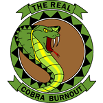 TheRealCobraBurnout