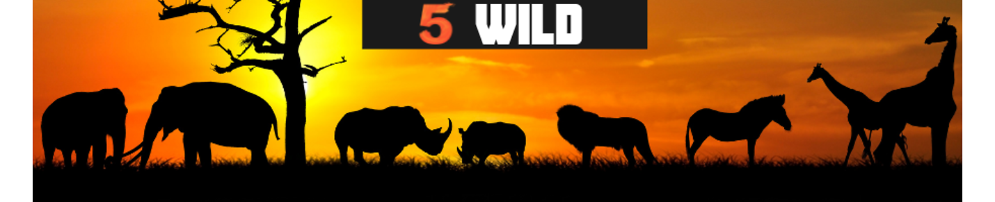 5 Wild