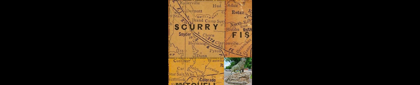 Meet the candidates of Scurry County, Texas