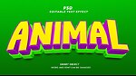 Animal video