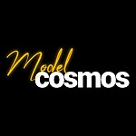 Model Cosmos