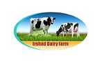 dairy farm videos