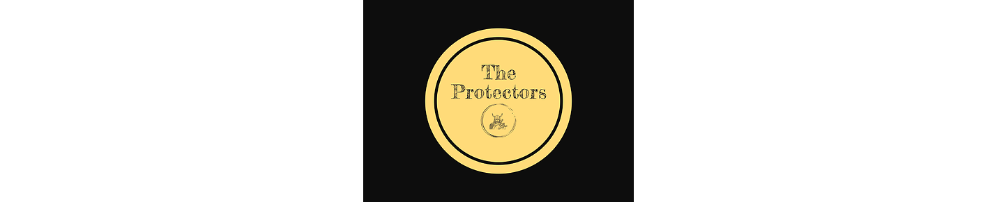 TheProtectorsUSA