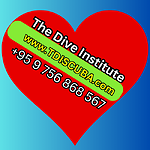 The Dive Institute