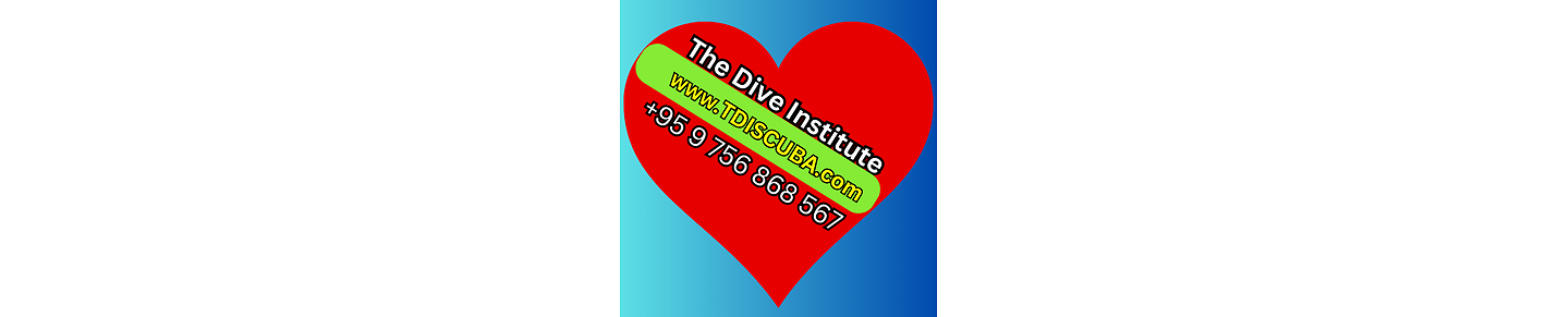 The Dive Institute