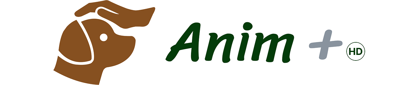 Anim + HD