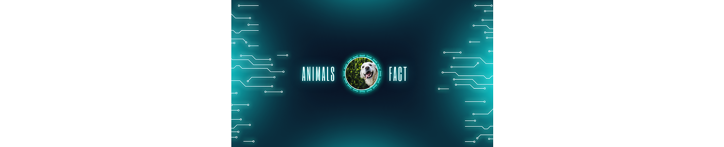 Animal Fact
