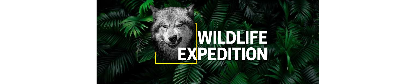 WildlifeExpedition