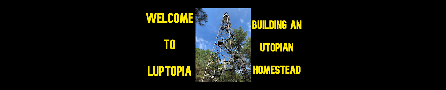 Building Our Utopian Homestead