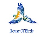 House of birds (karachi chapter)