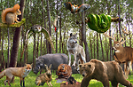 "Zooland: Wonders of Animal Life"