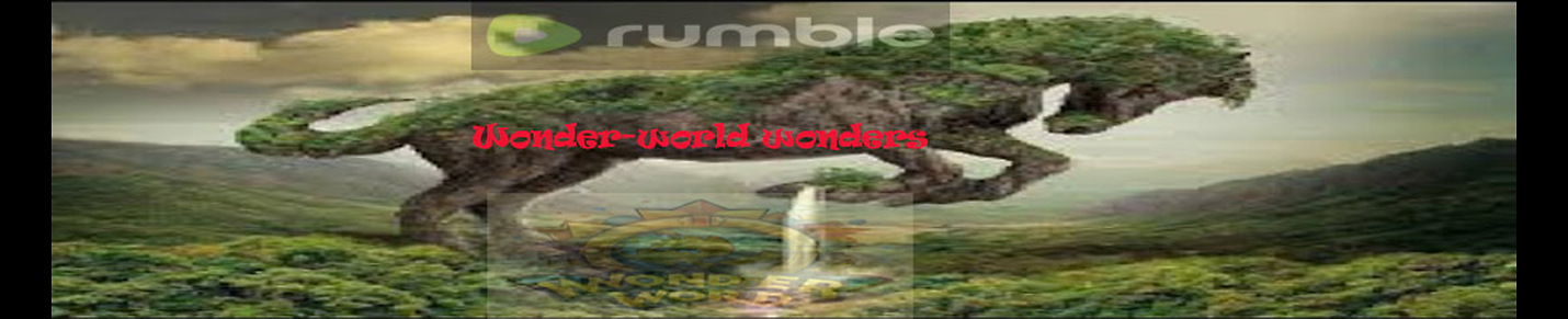 Wonder-World wonders