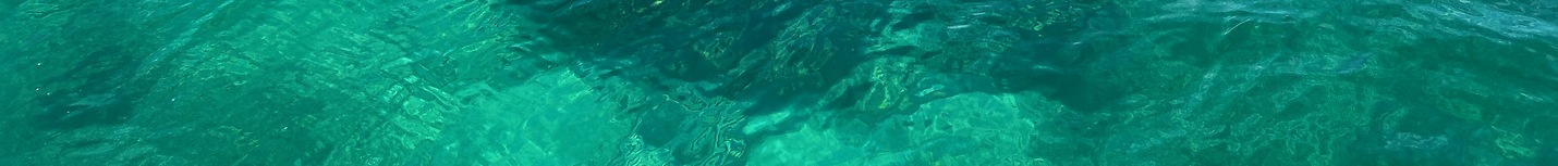 Florida Keys Boating Fishing Snorkeling and Diving