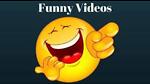 Animals Funny Videos