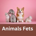 animals videos