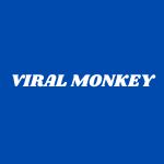 Viral Monkey