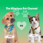 The Hilarious Pet Channel