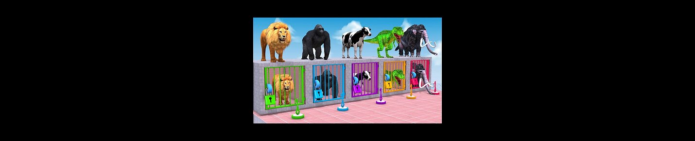 Animals cartoon video