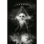 UFO OVNIS
