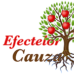 Cauza Efectelor