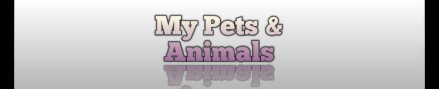 Funny  Pets & Animals Videos