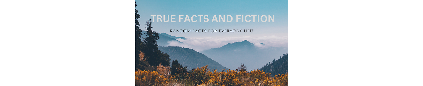 True Facts And Fiction