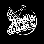 Radio Dwars