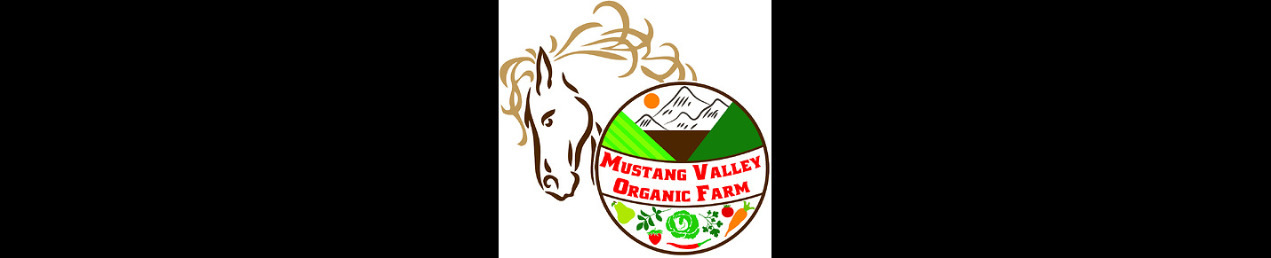 MustangValley