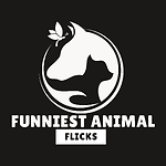 Funniest Animal Flicks