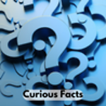 Curious Facts