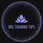 TRAINING DOG TIPS