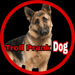 Troll Prank Dog [Oficial] ✔️