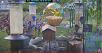 Florida Bird Feeder SWFL Live Camera HD