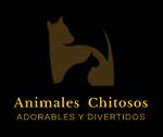 Animales con estilos únicos