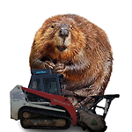 BIG BELLY BEAVER: LAND CLEARING AND MULCHING