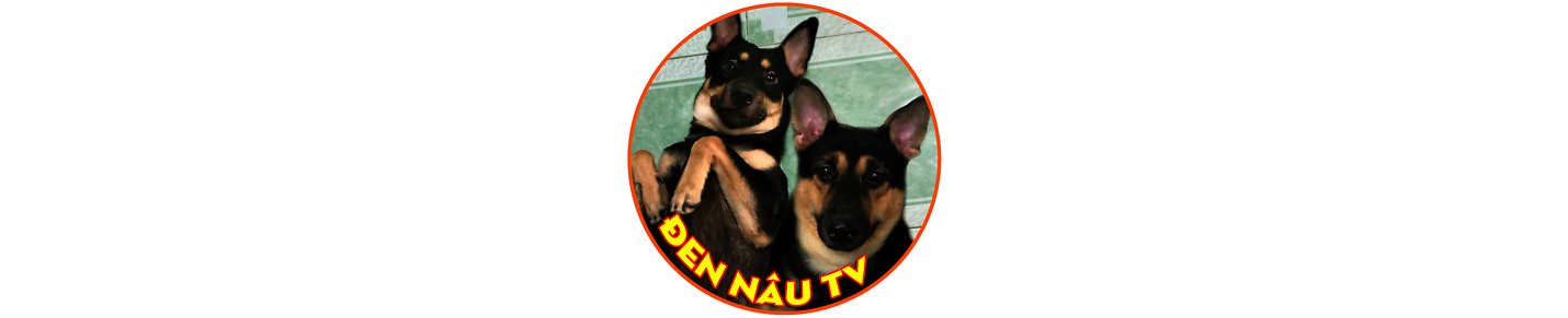 Two dog brothers named Den and Nau