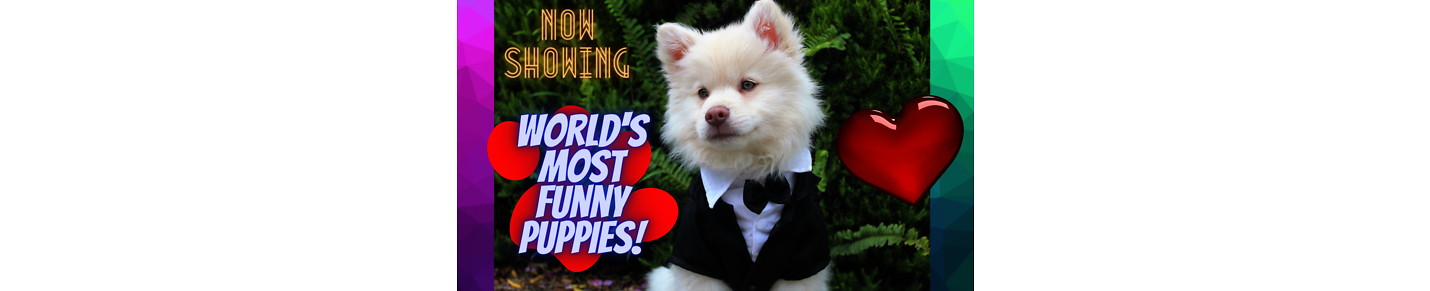 WORLD´S MOST FUNNY PUPPIES