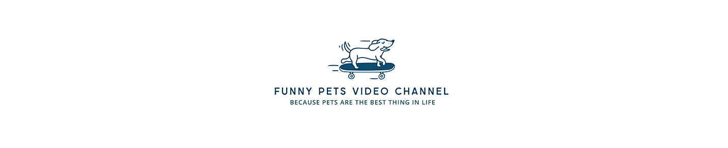 Funny Pet Videos Channel