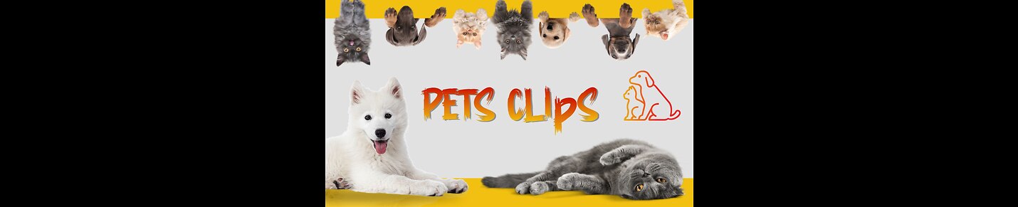 PETS CLIPS