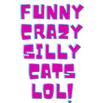 Funny Crazy Silly Cats LOL!