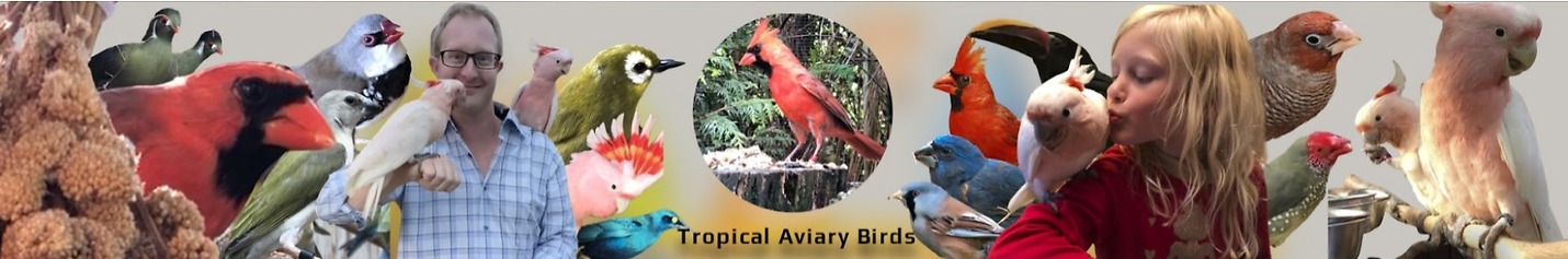 Tropical Aviary Birds - Torben Dehlholm